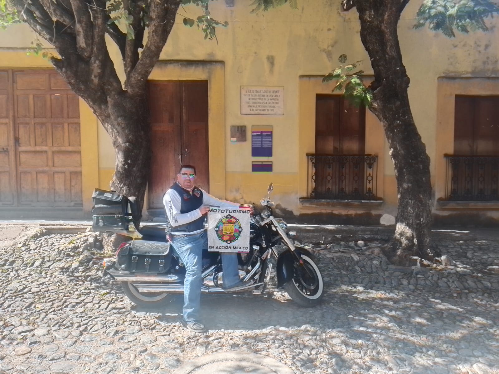 Armadillo de Infante