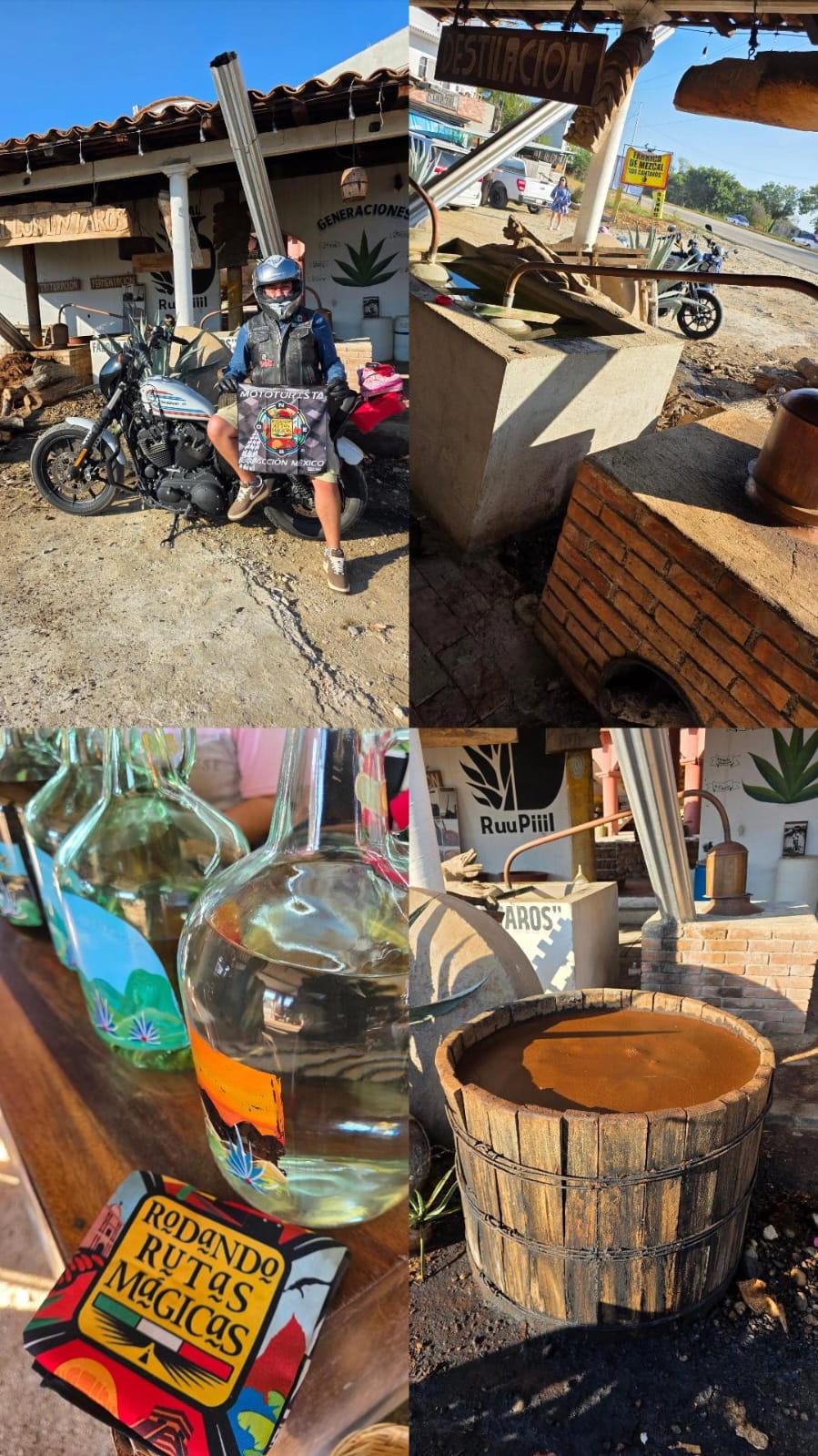 Casa productora de mezcal