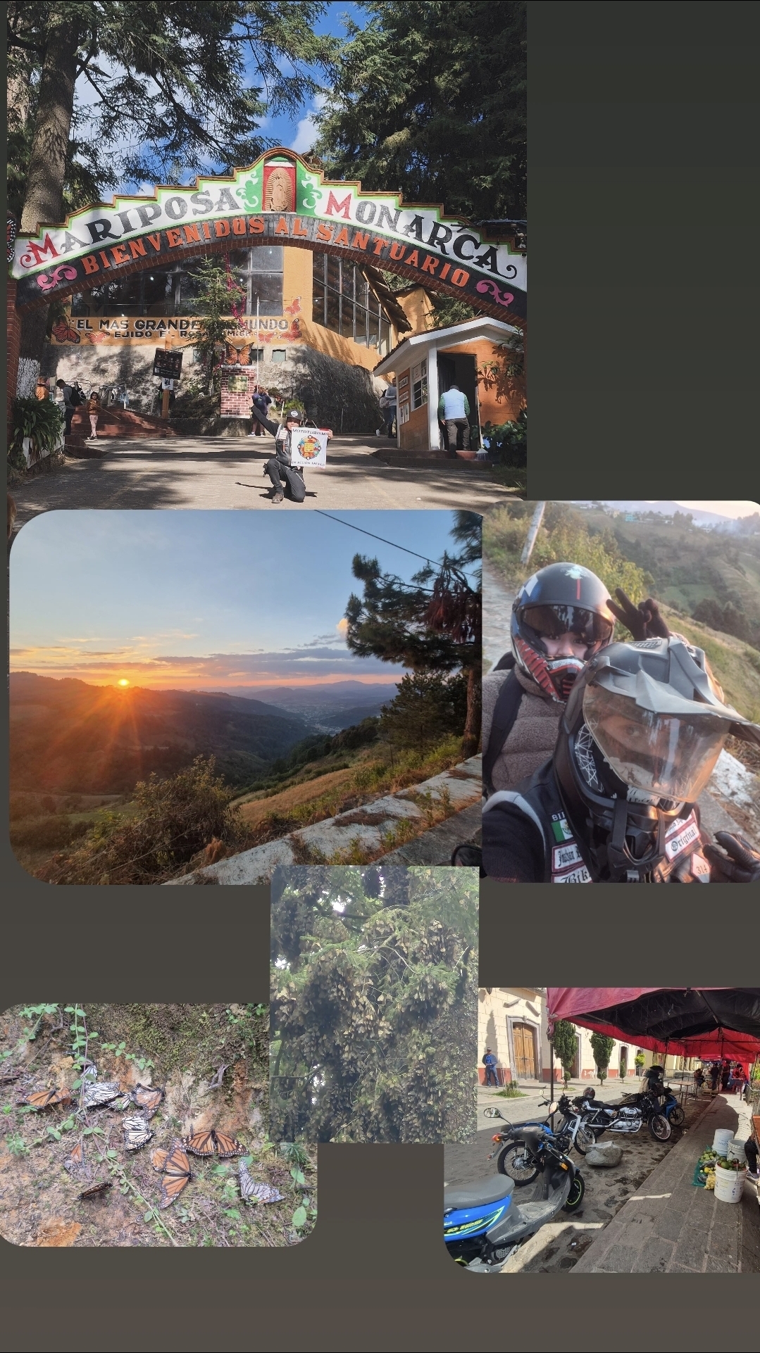 Santuario de la mariposa monarca