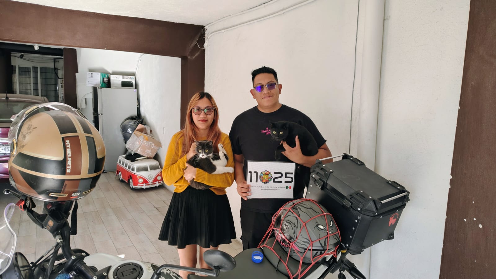 Familia Felina Galactica