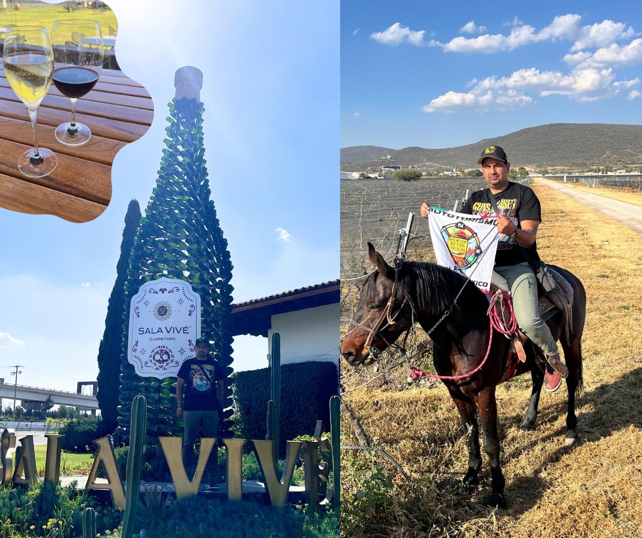 Ruta del queso y vino