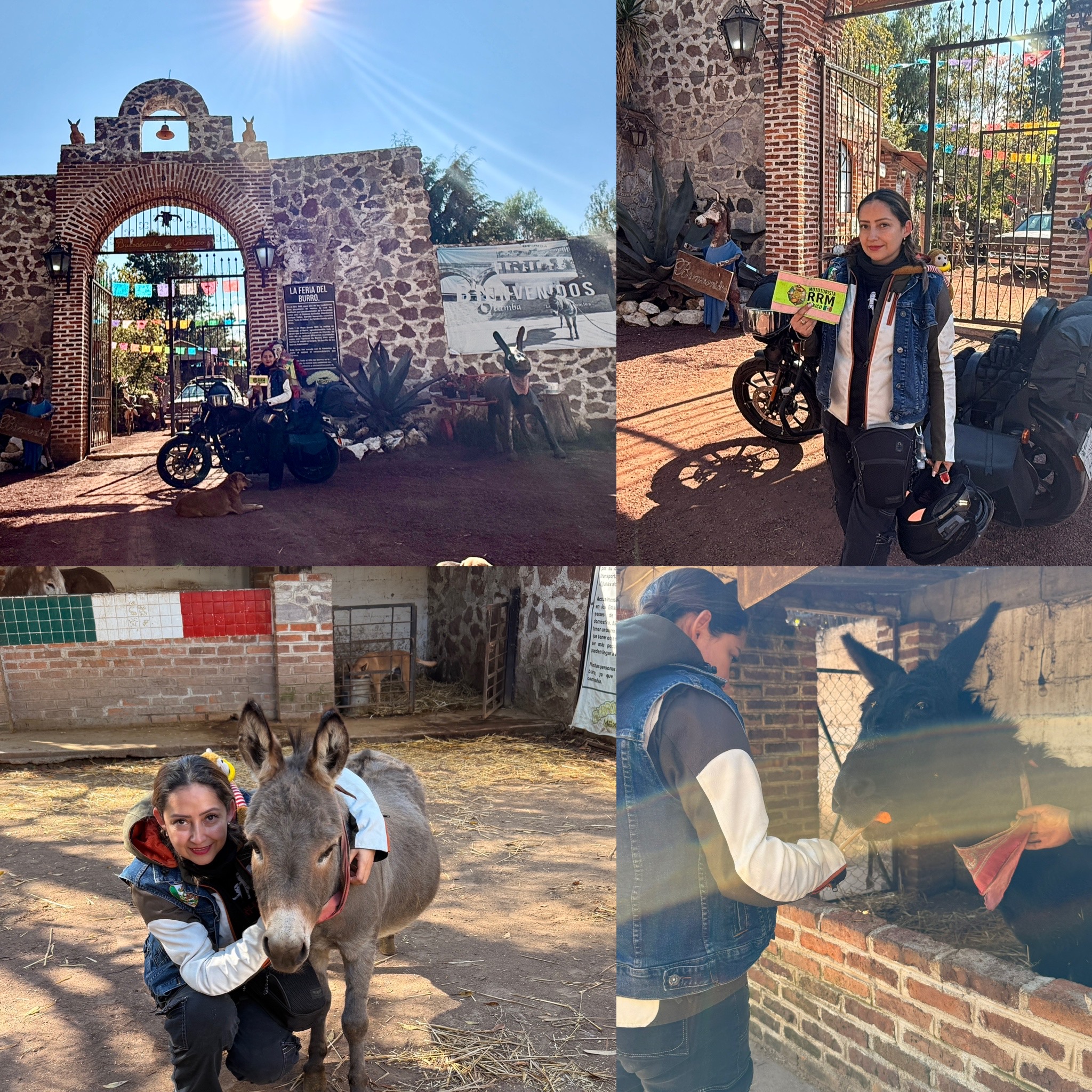 Con mi burrito sabanero