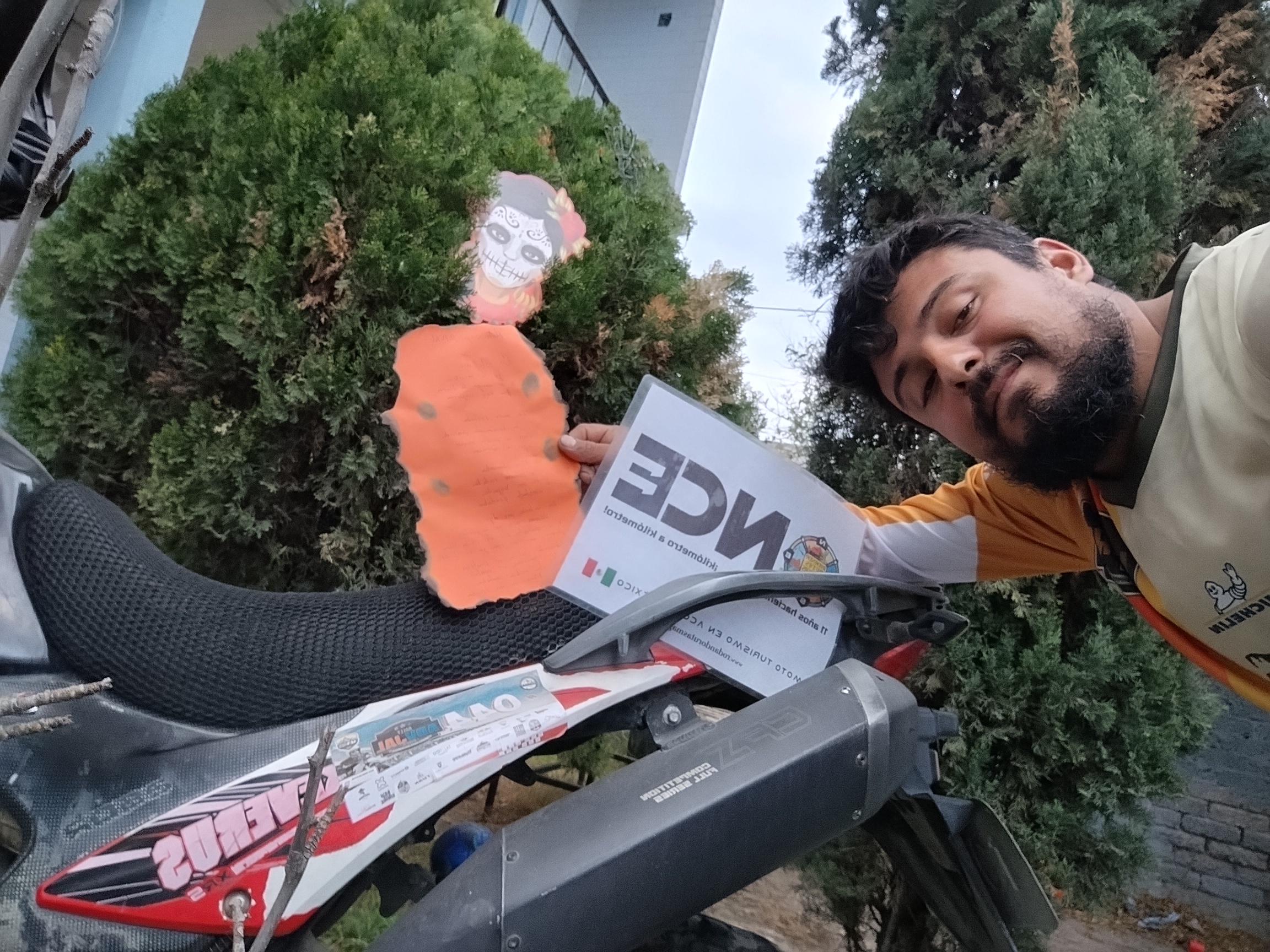 Calaverita literaria