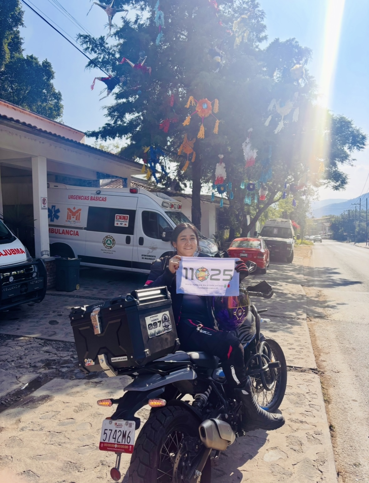 Árbol de estrellas mexicanas
