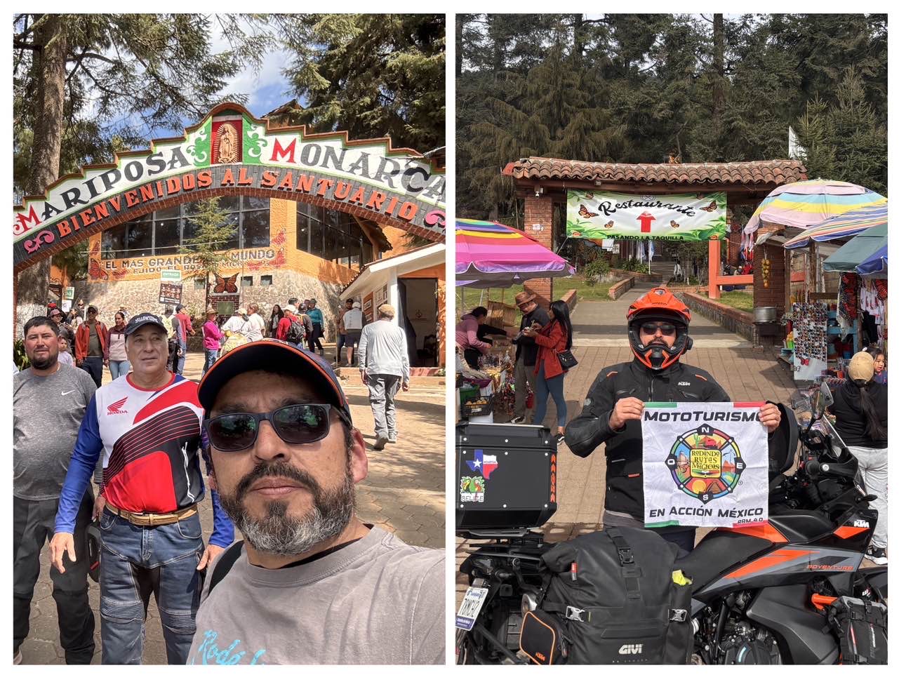 Santuario de la mariposa monarca “El Rosario”