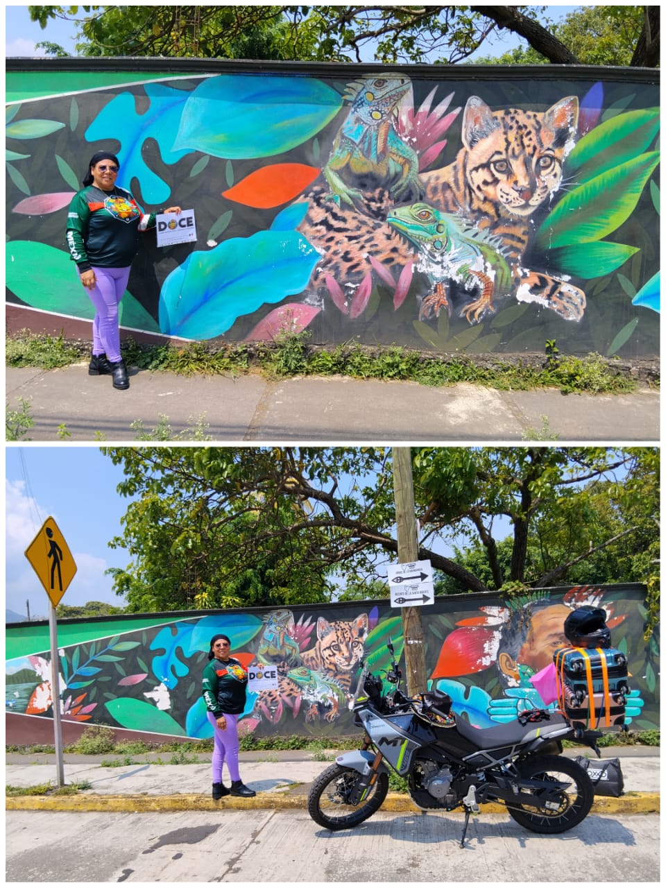 Postal arte mexicana