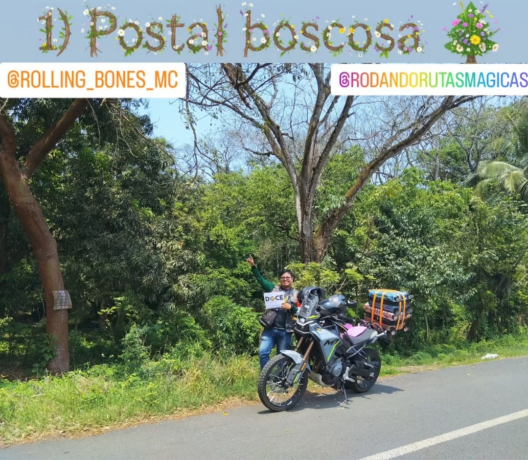 1) Postal boscosa 🌳🌳