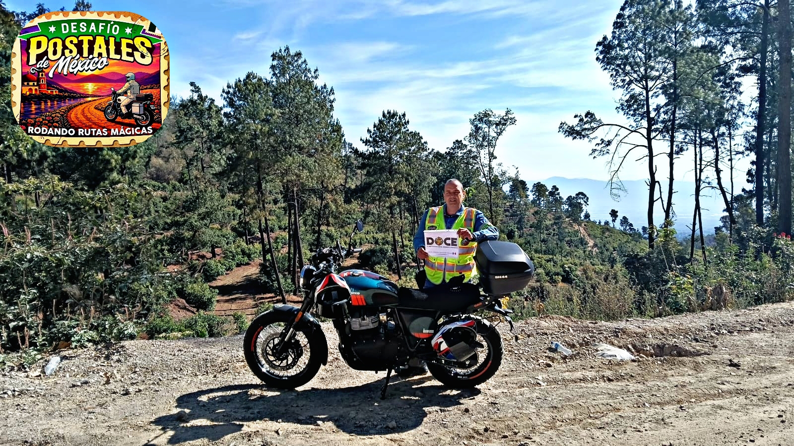 Cultivo agrícola de aguacate