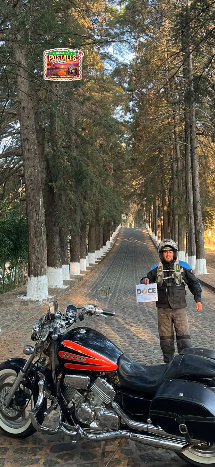 Carretera boscosa