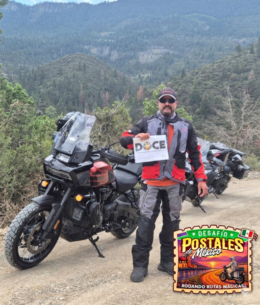 postales bosque de arteaga