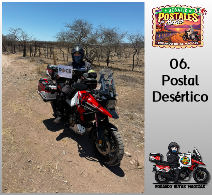 06- Postal desértico o semidesértico
