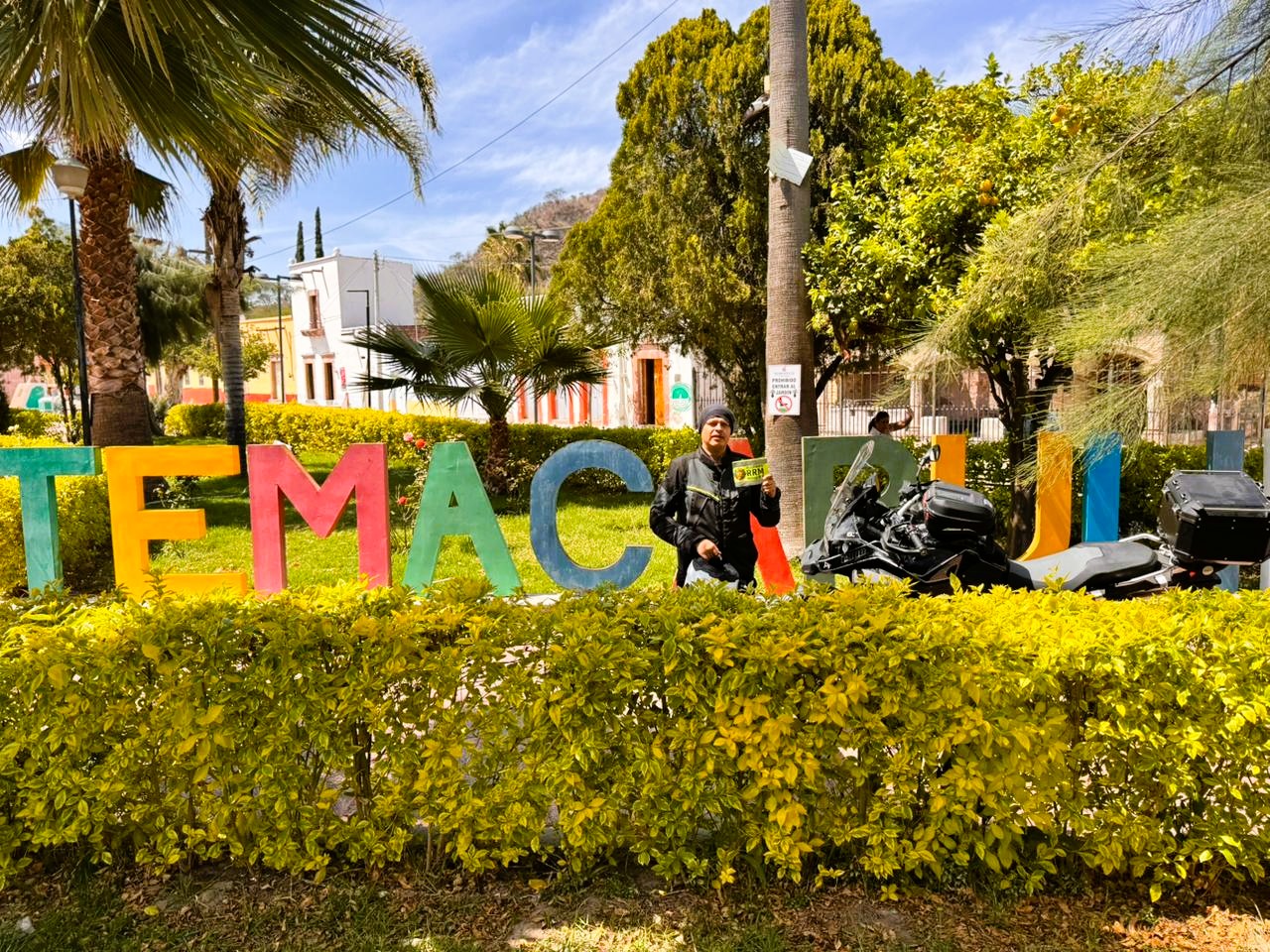 TEMA