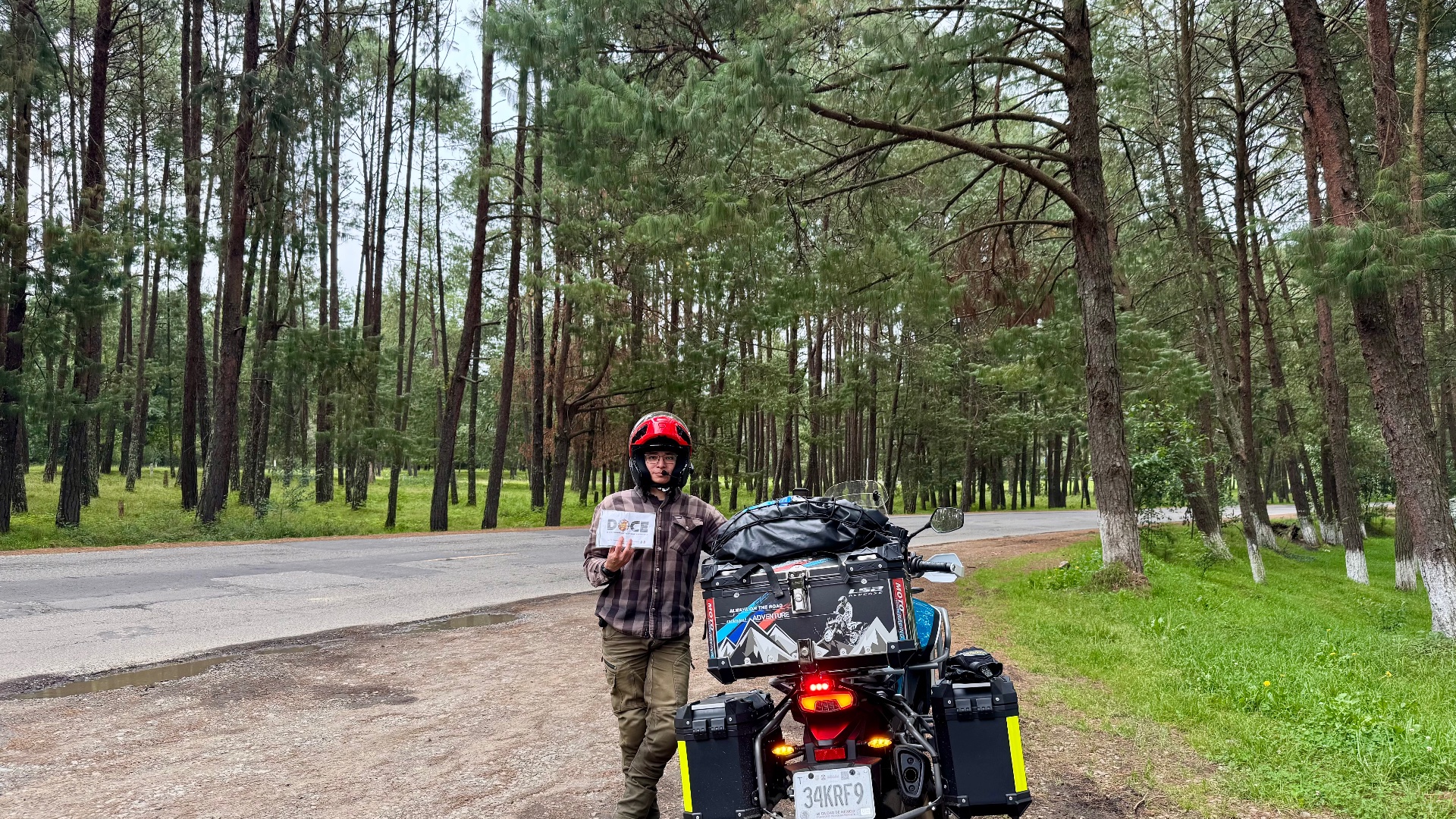 Pasando entre el bosque