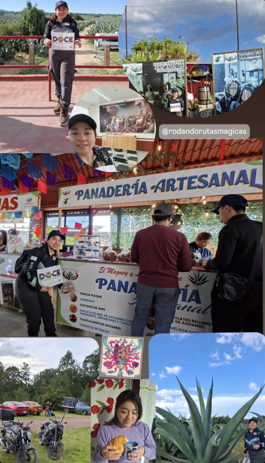 Pan de pulque