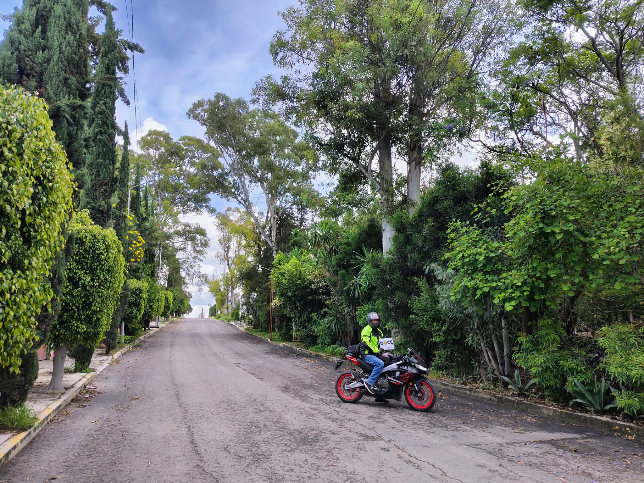 Bosques