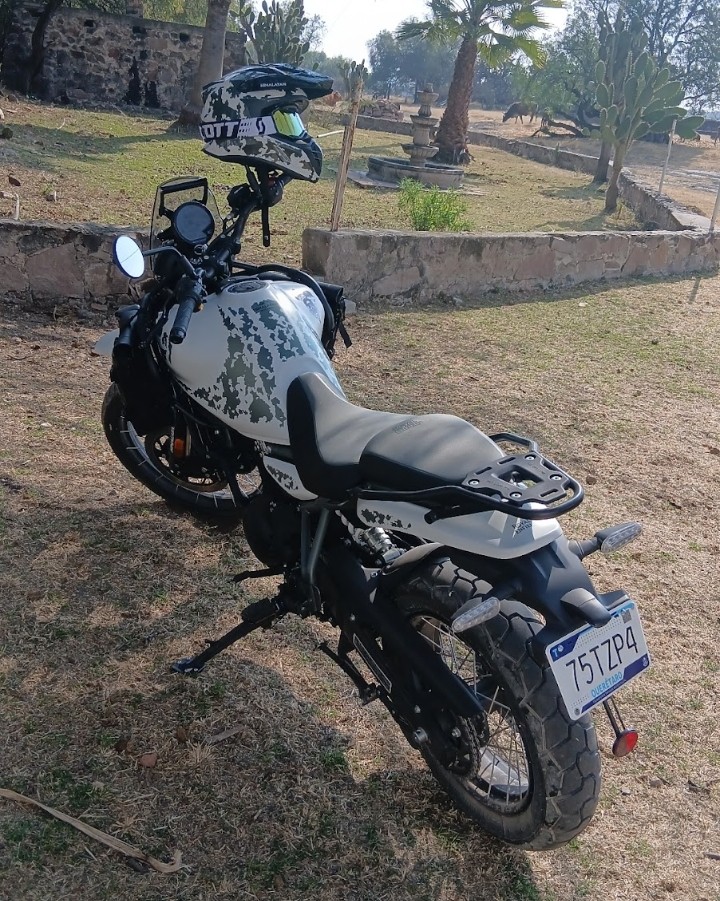 Himalayan