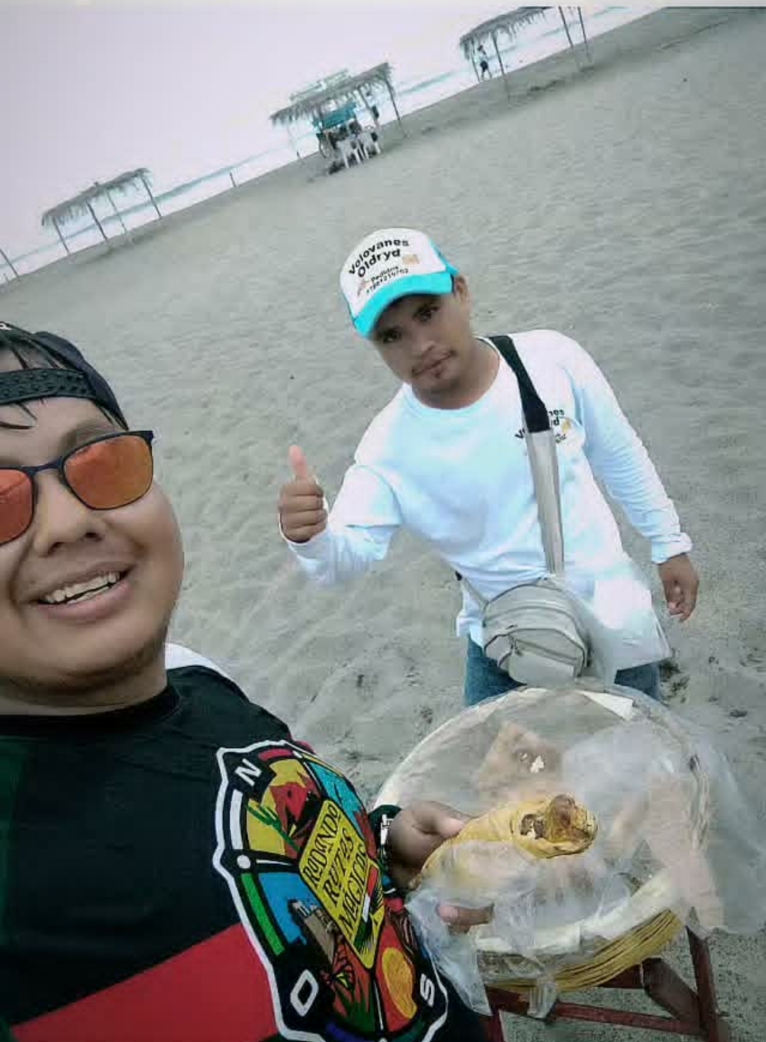 Volovanes en la playa