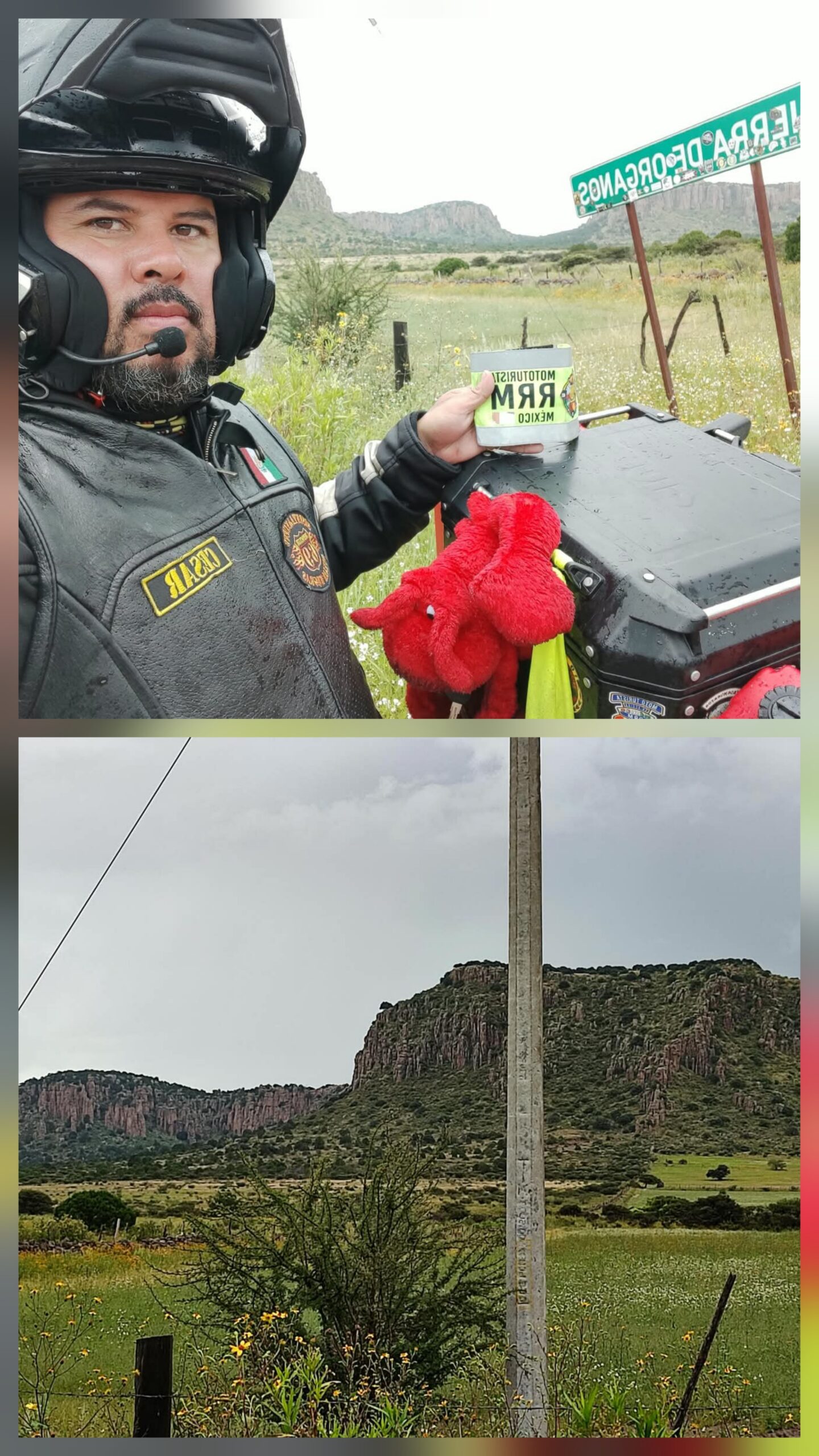Sierra de organos